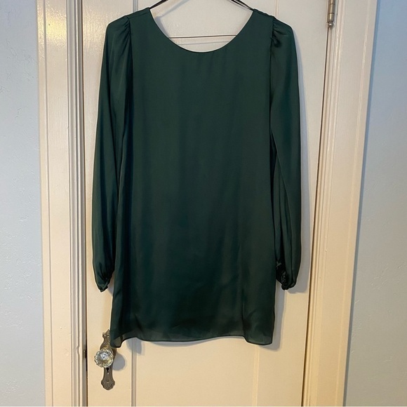 Nymphe Shirt Rich Green Longline Fully Lined Body Silky Forest Fairy Sz S/M - Picture 2 of 9